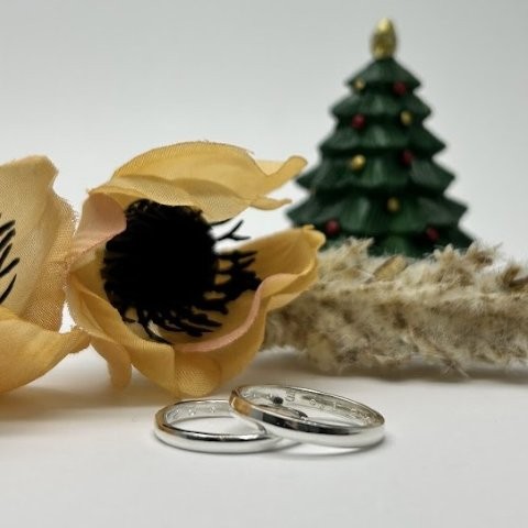 ペアリング　シルバー